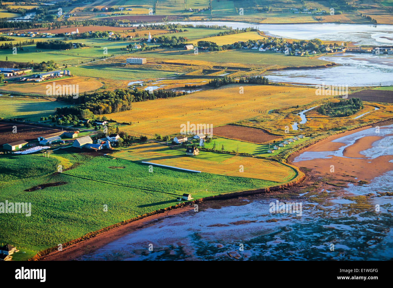 Antenna di punto di betulla, Prince Edward Island, Canada Foto Stock