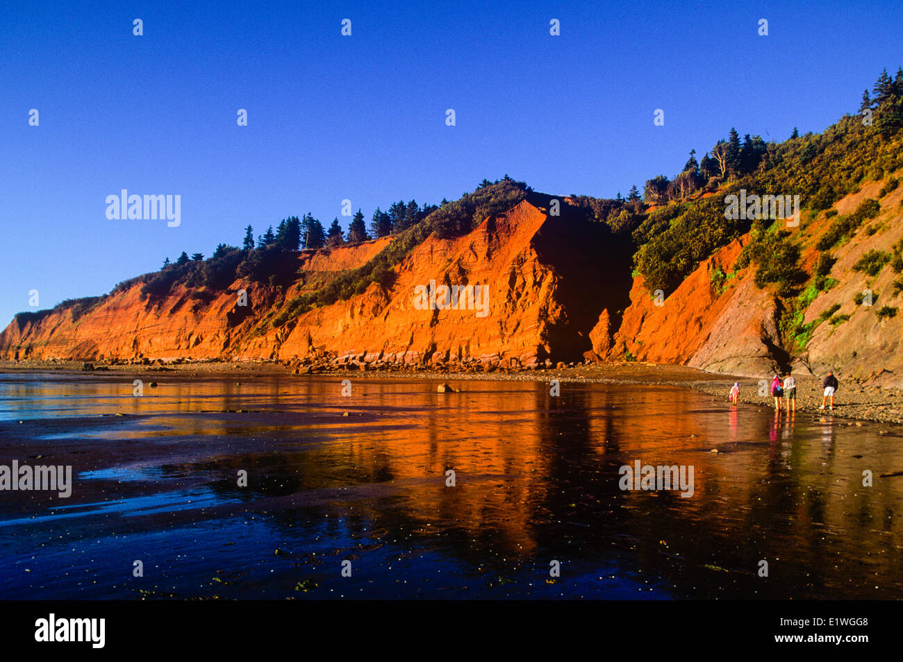 Cinque isole del Parco Provinciale e della Baia di Fundy, Nova Scotia, Canada Foto Stock