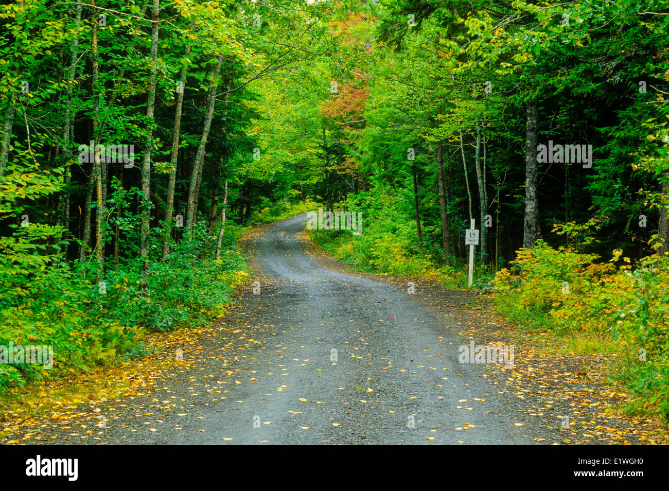 Strada di campagna, Mount Uniacke, Nova Scotia, Canada Foto Stock