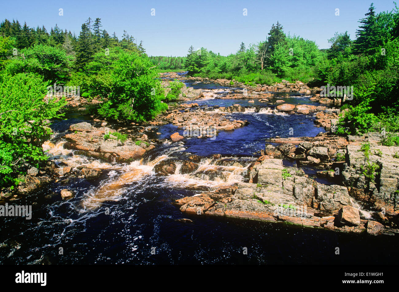 Foglio Harbour, Nova Scotia, Canada Foto Stock