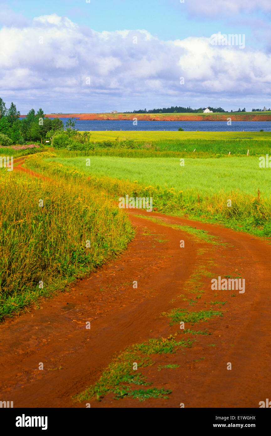 Paese strada di argilla, Desable (Disattiva), Prince Edward Island, Canada Foto Stock