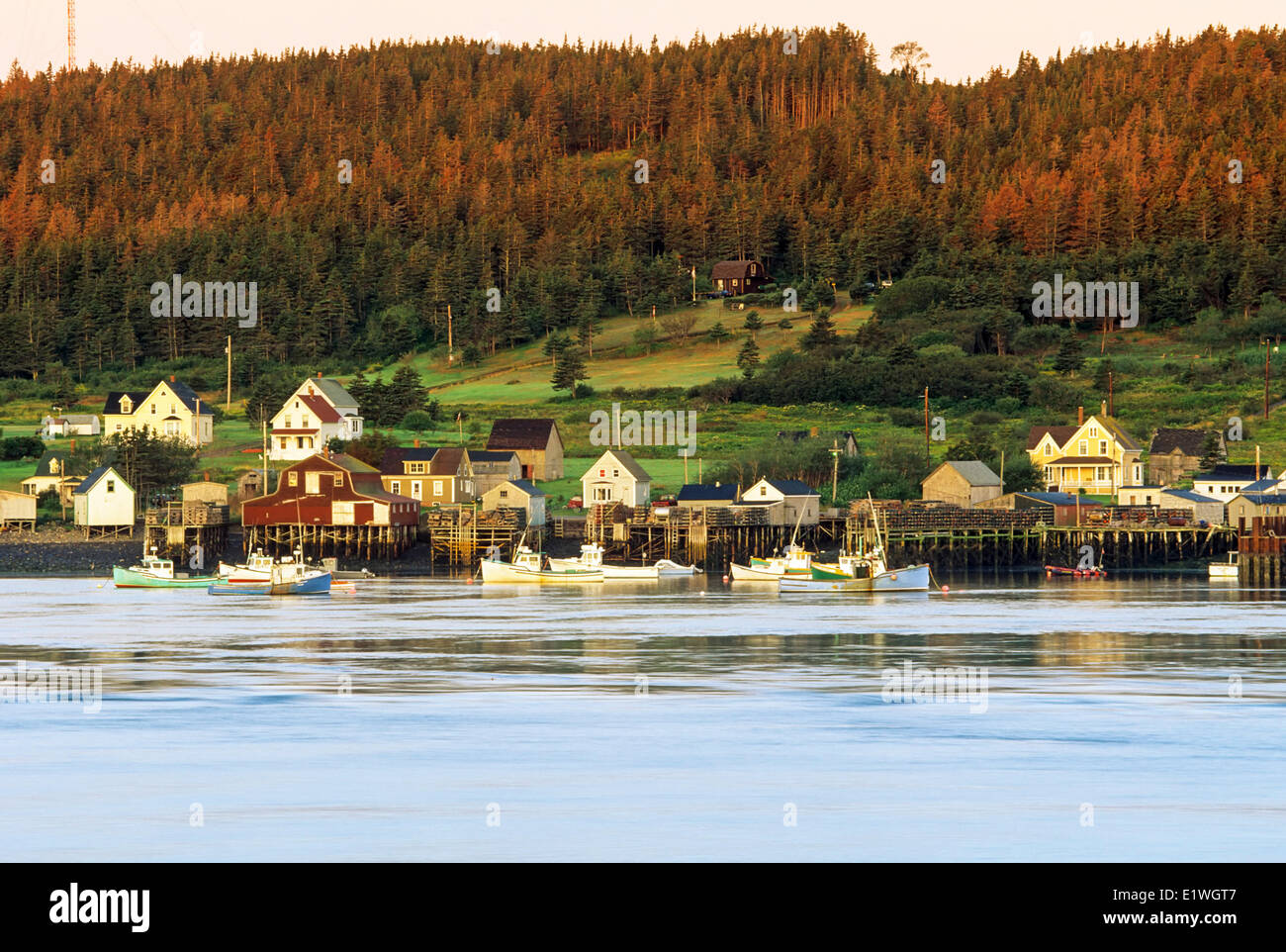Tiverton, Brier Island, Baia di Fundy, Nova Scotia, Canada Foto Stock