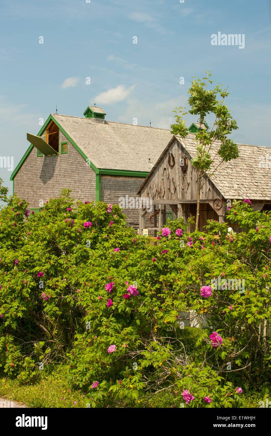 Fienili, Avonlea villaggio di Anne di Green Gables, Prince Edward Island, Canada Foto Stock