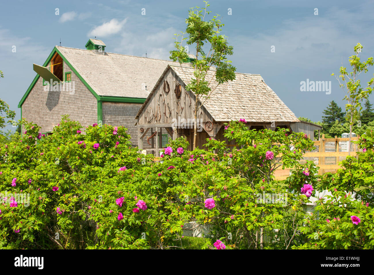 Fienili, Avonlea villaggio di Anne di Green Gables, Prince Edward Island, Canada Foto Stock