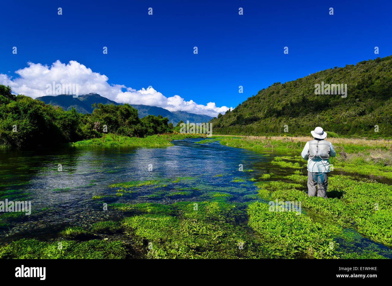 Nuova Zelanda Casting Isola del Sud Wongobonga Creek insenature della molla Foto Stock