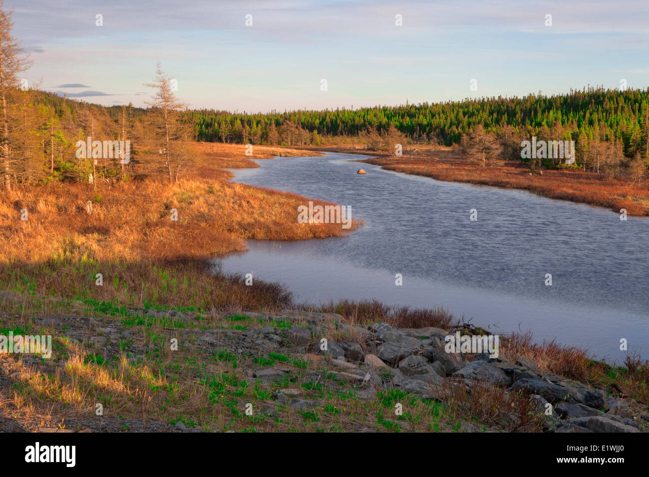 Di sera, Lago d'acqua dolce, a sud di San Antonio, Terranova Foto Stock