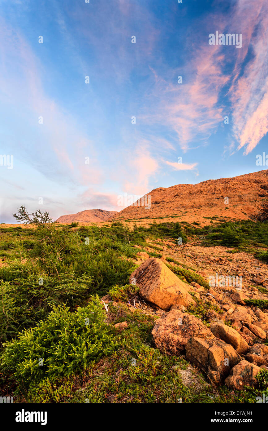 Altopiano montagne, Parco Nazionale Gros Morne, Terranova e Labrador Foto Stock