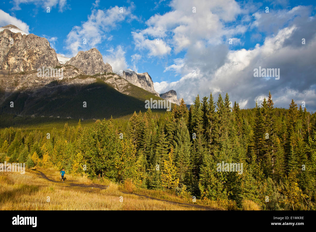 Una giovane donna su un inizio di mattina trail run. Canmore, AB Foto Stock