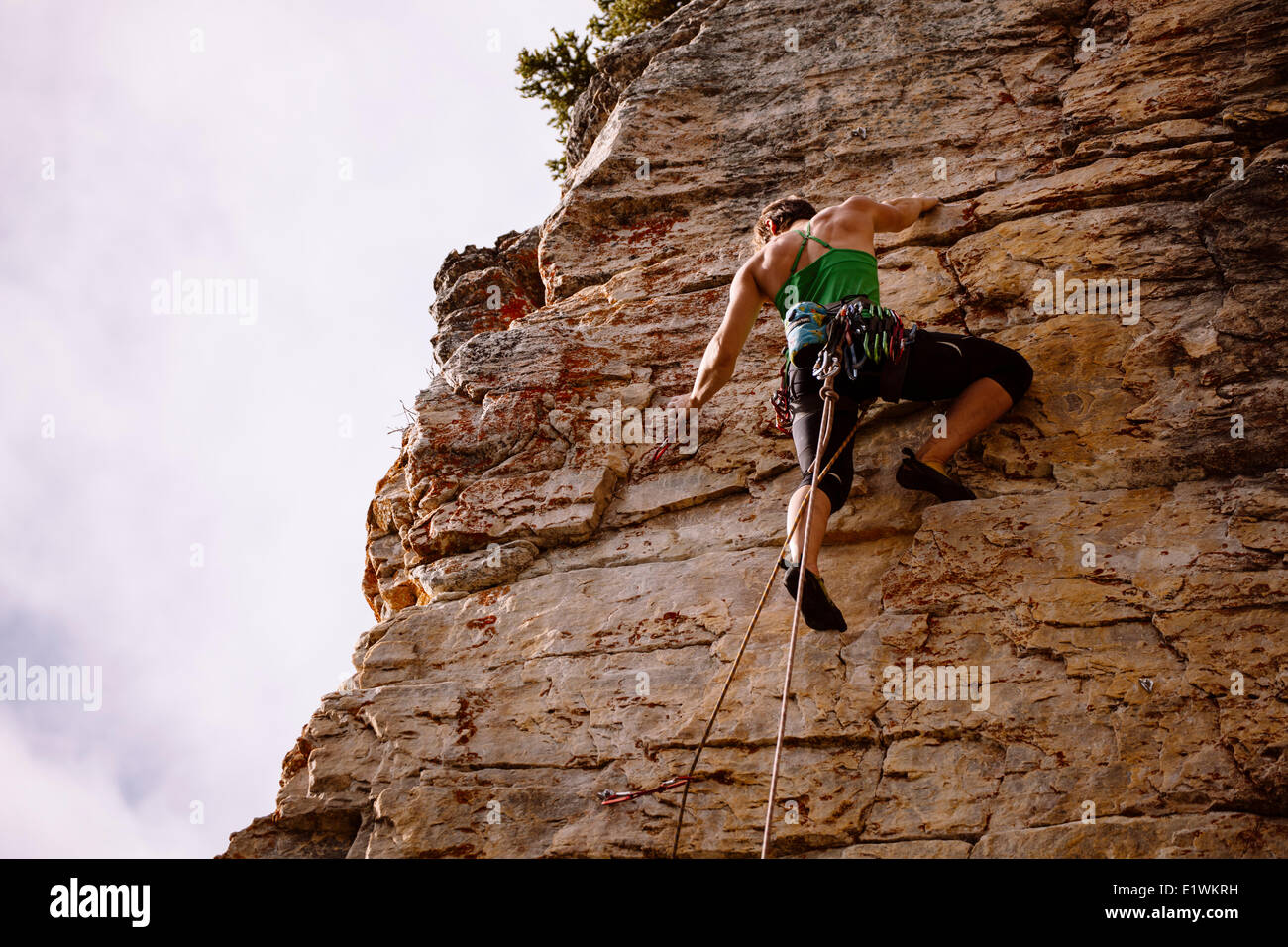 Un forte scalatore femmina ottenere pronto ad agganciare un bullone a Silver City, Castello Mtn, Banff, AB Foto Stock