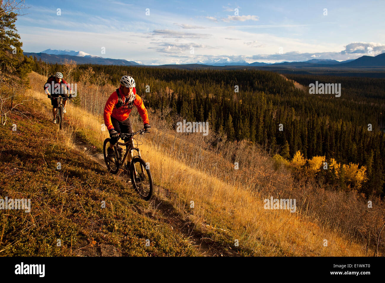 Due mountain bike godendo i colori dell'autunno e sentieri in Whitehorse, Yukon Foto Stock
