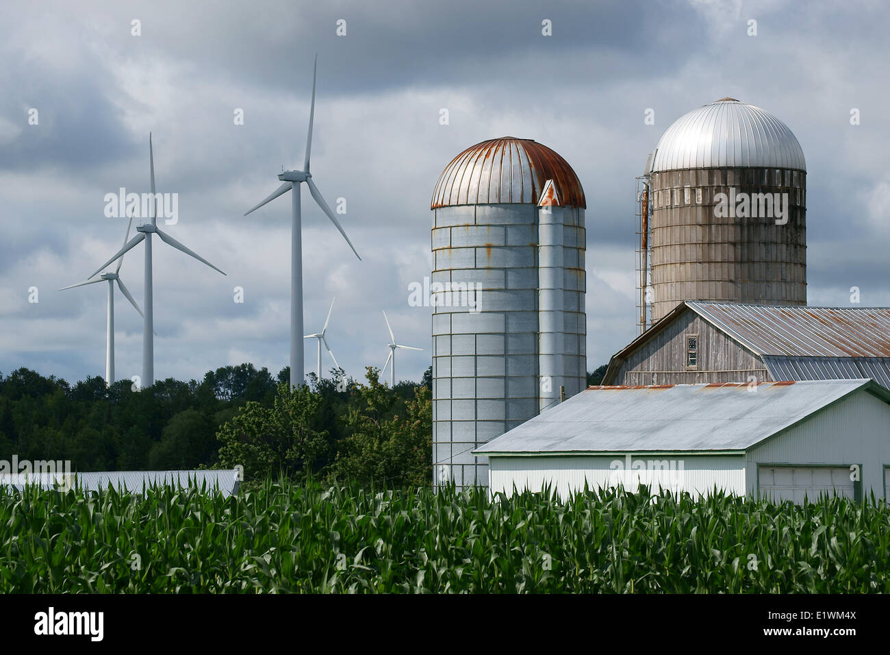 Wind Farm in upstae New York, Stati Uniti d'America. Foto Stock