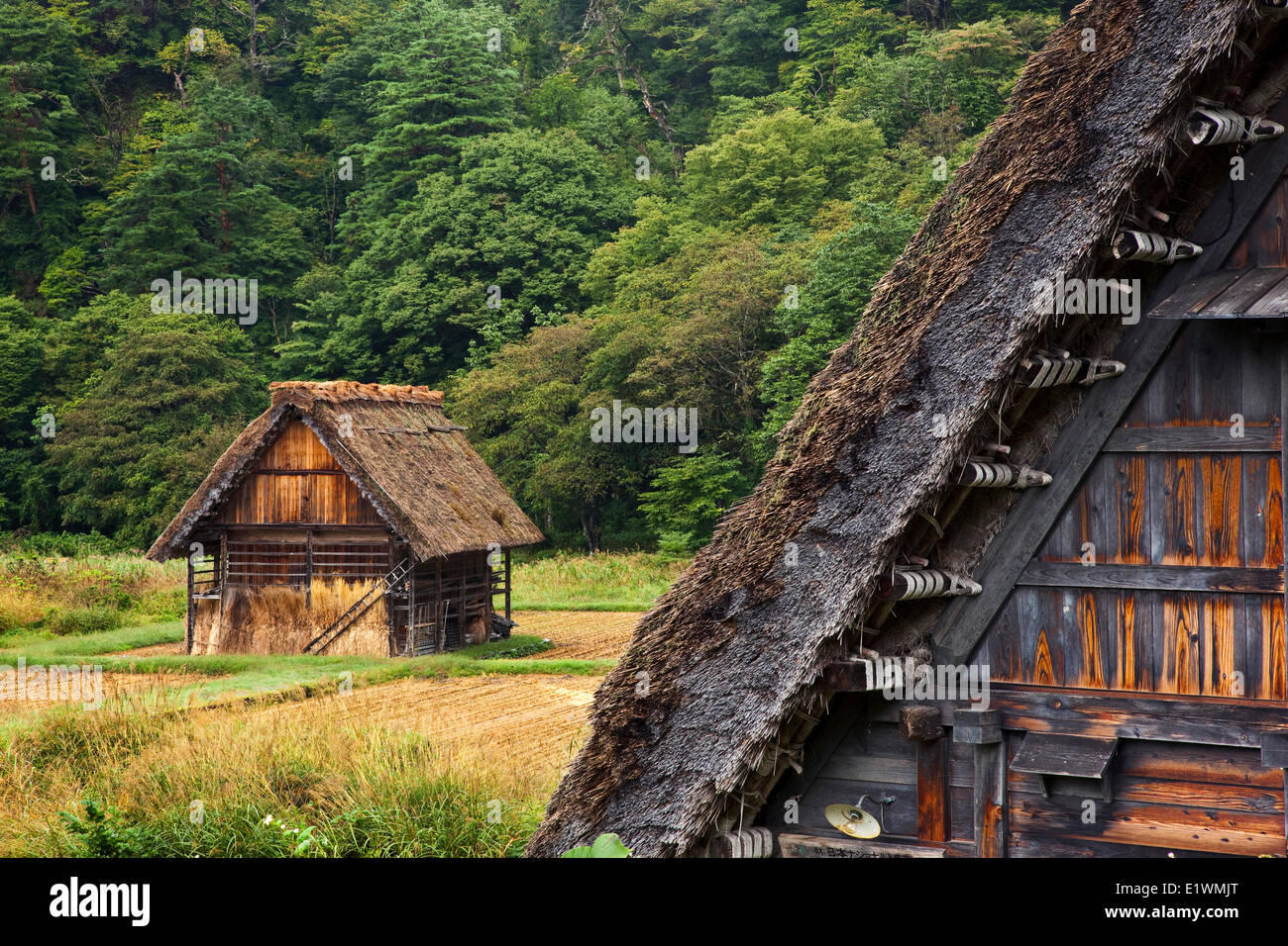 Un sito Patrimonio Mondiale dell'UNESCO il villaggio storico di Shirakawa-go nel nord del Giappone è famosa per il suo secolo-vecchia Gassho-zukuri Foto Stock