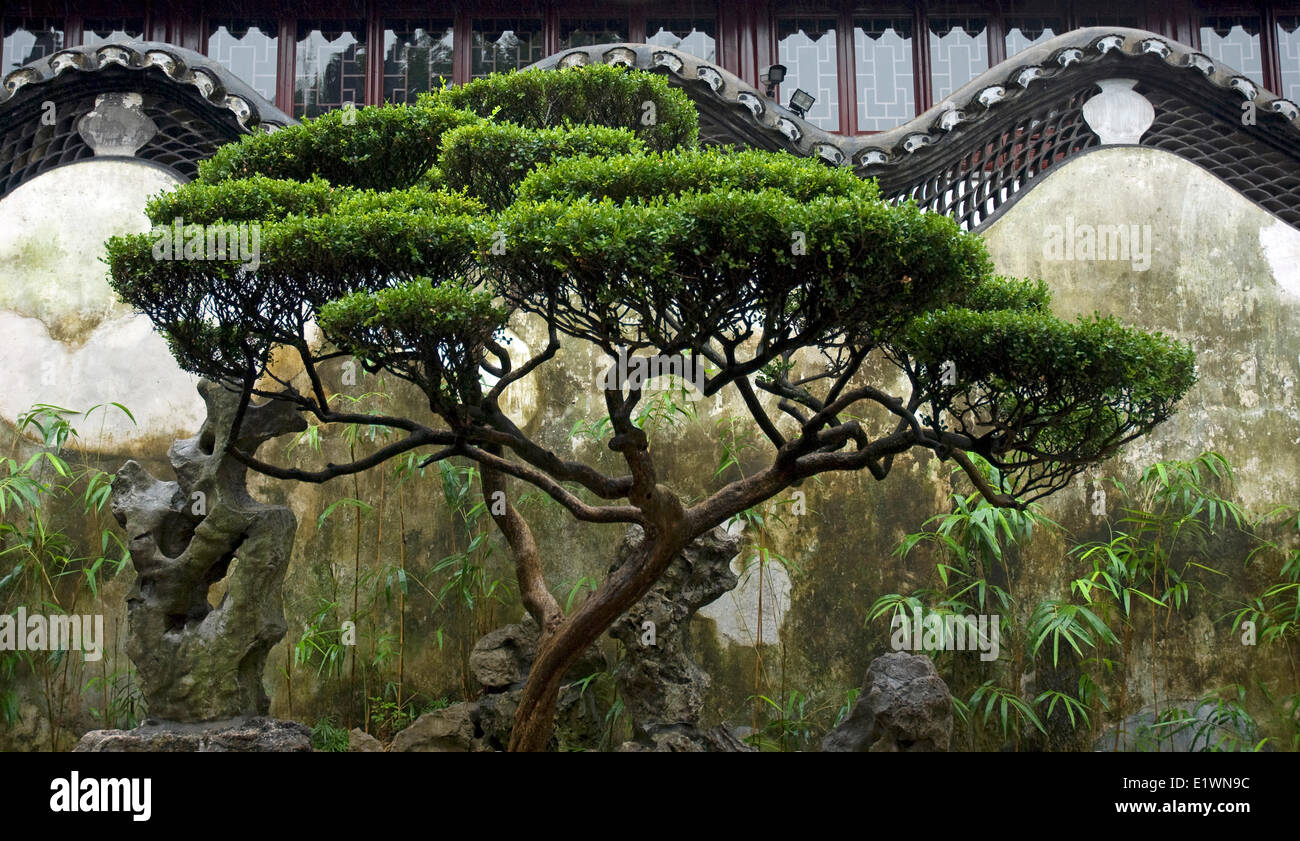 Arte del giardino cinese design, Yu Giardini in Sahnghai Foto Stock
