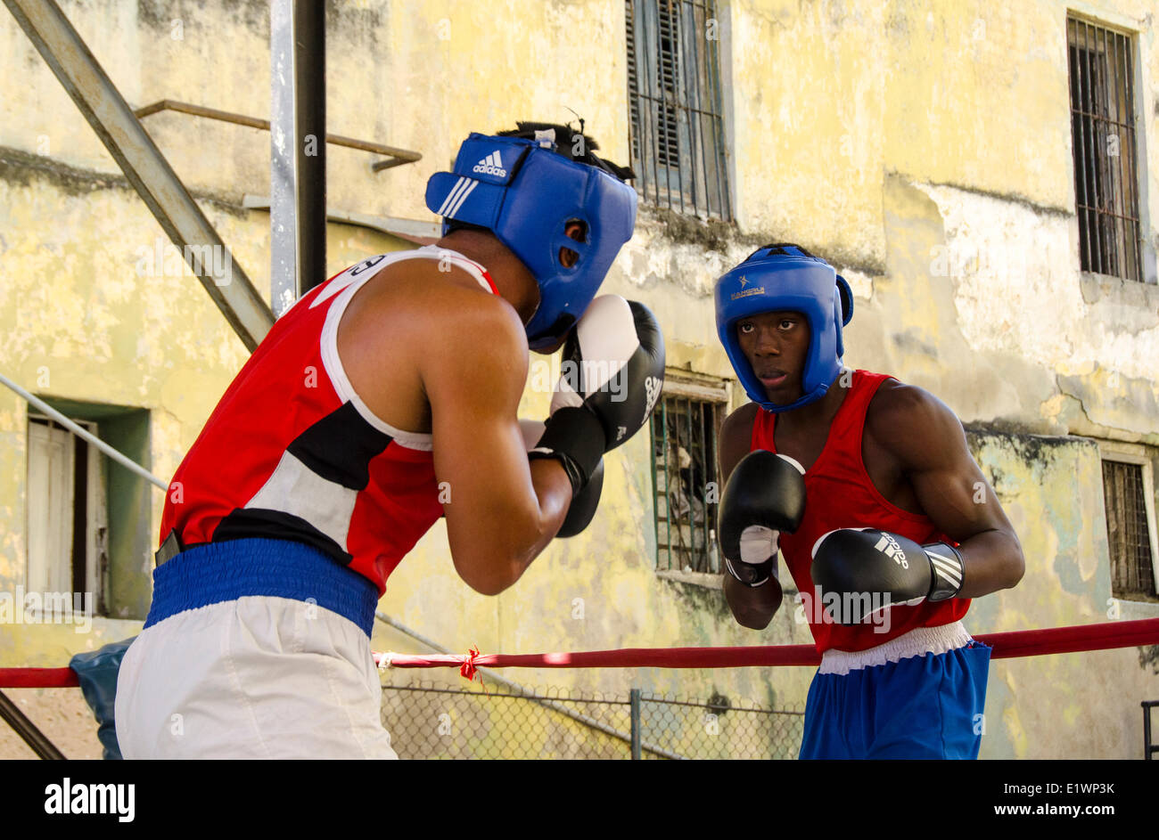 Scene da Rafael Trejo Boxing palestra, Havana, Cuba Foto Stock