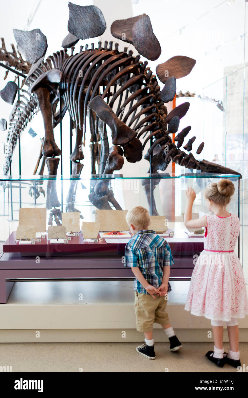 Ragazzo e una ragazza alla ricerca di fossili di dinosauro al Royal Ontario Museum di Toronto, Ontario, Canada Foto Stock