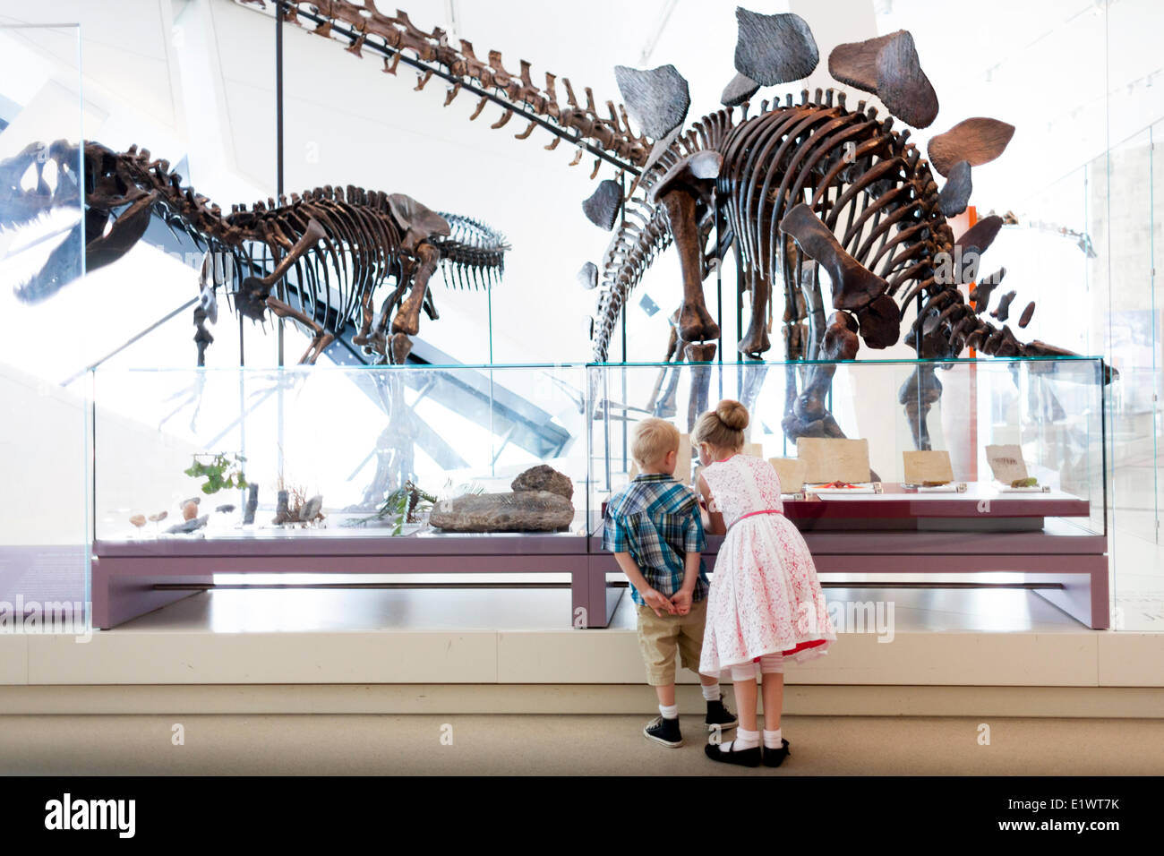 Ragazzo e una ragazza alla ricerca di fossili di dinosauro al Royal Ontario Museum di Toronto, Ontario, Canada Foto Stock