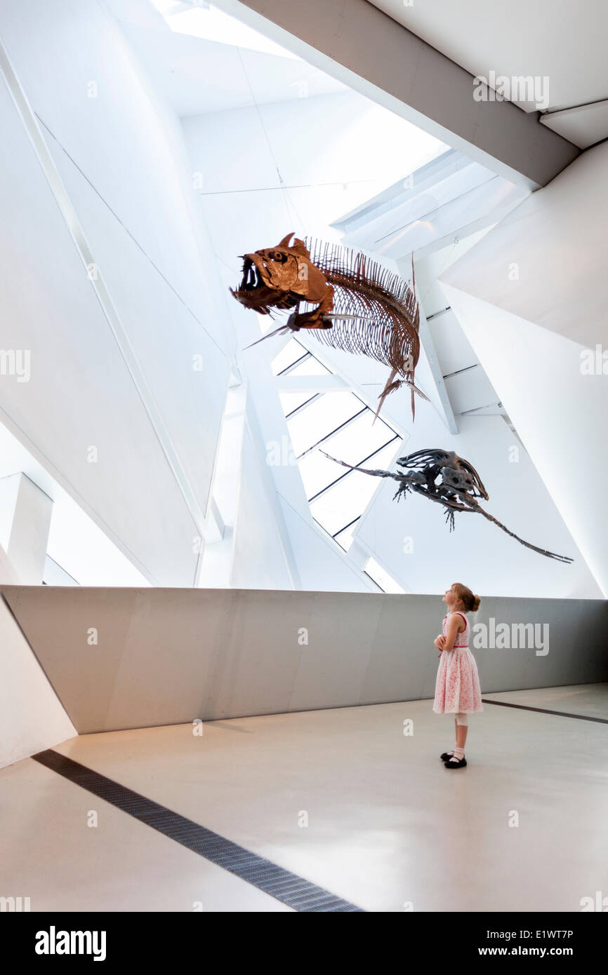 Ragazza alla ricerca di fossili di dinosauro al Royal Ontario Museum di Toronto, Ontario, Canada Foto Stock
