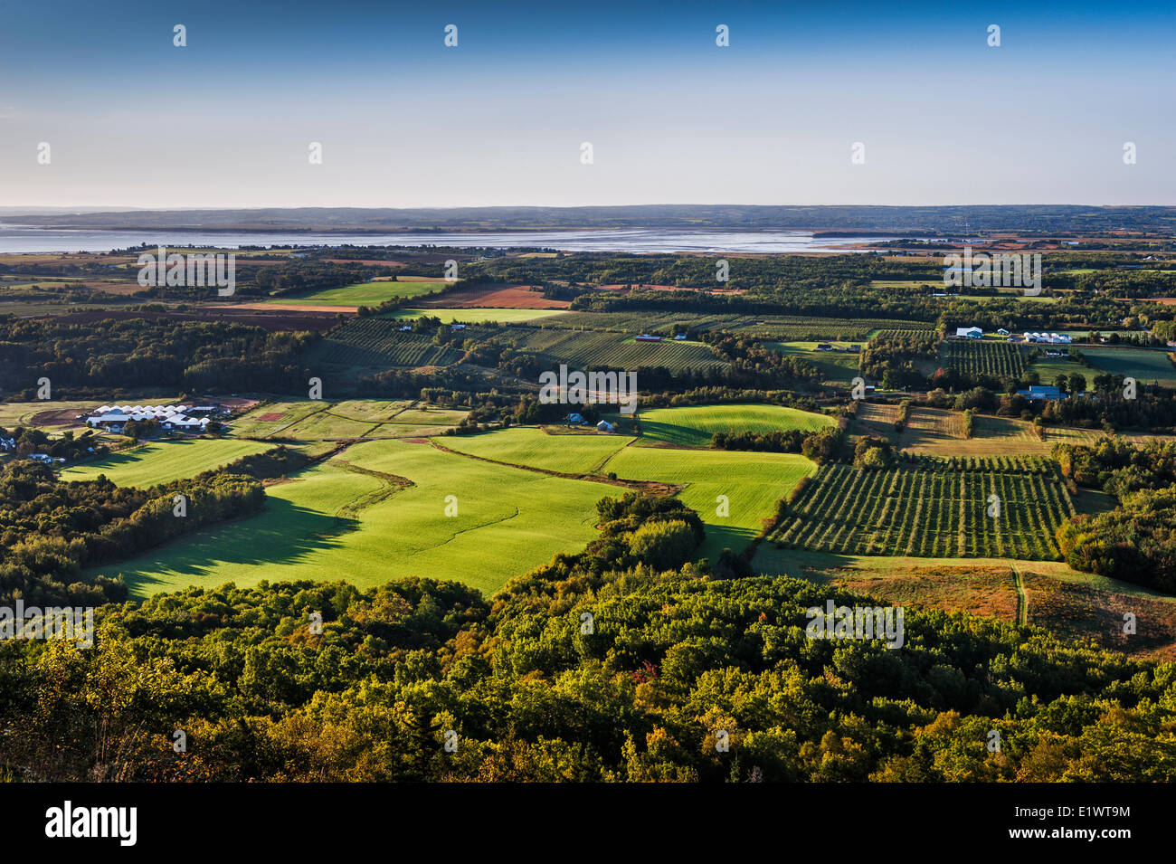 Vista Look-Off Blomidon sulla sommità nord Montagna in Fundy Shore Annapolis Valley. Minas Basin terreni coltivati al di sotto. Nova Foto Stock