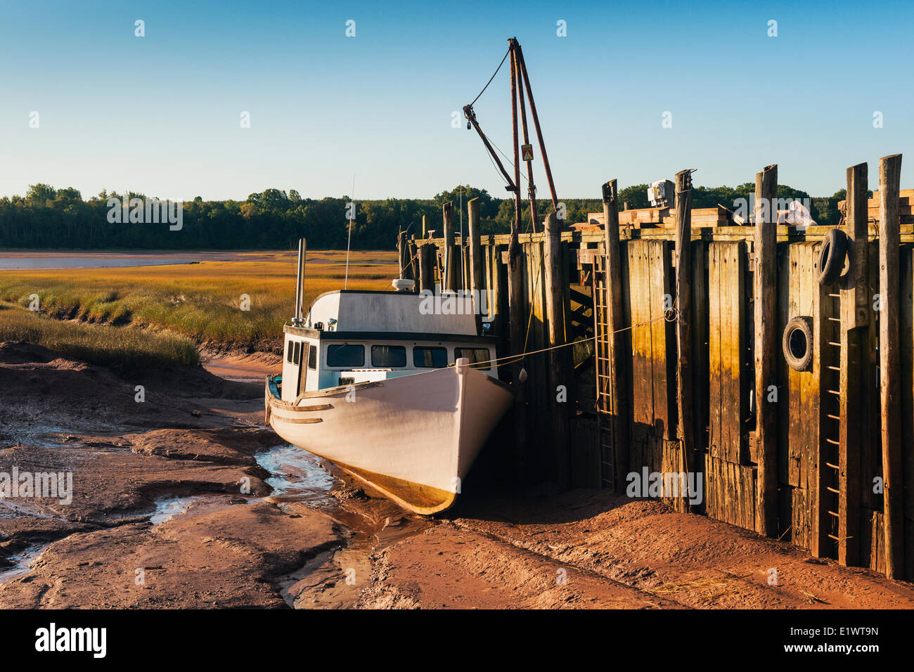Barca da pesca bloccati sul fango appartamenti a bassa marea nel Minas bacino. Baia di Fundy. Delhaven, Nova Scotia. In Canada. Foto Stock