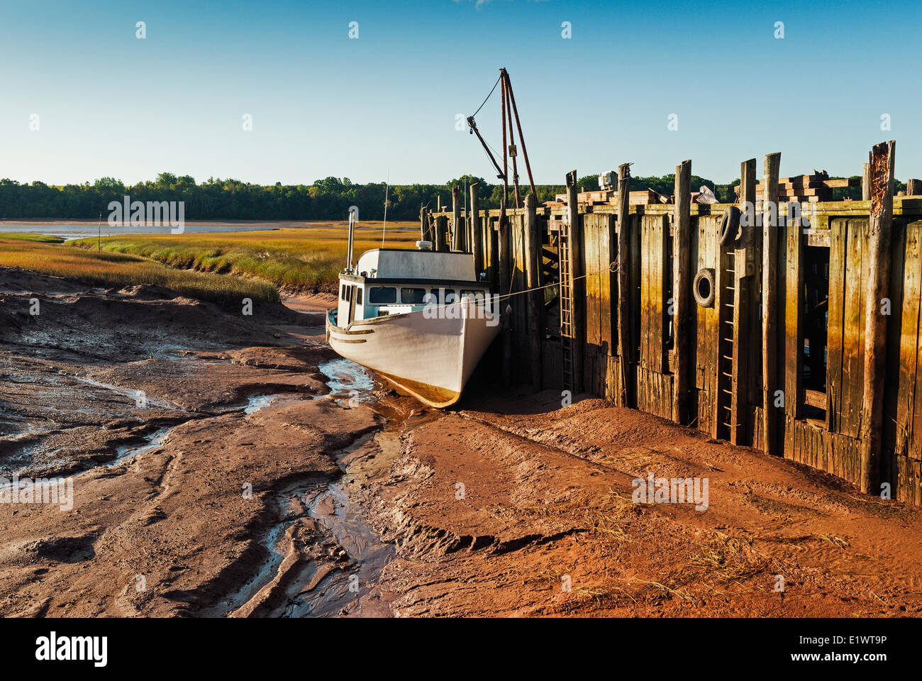 Barca da pesca bloccati sul fango appartamenti a bassa marea nel Minas bacino. Baia di Fundy. Delhaven, Nova Scotia. In Canada. Foto Stock