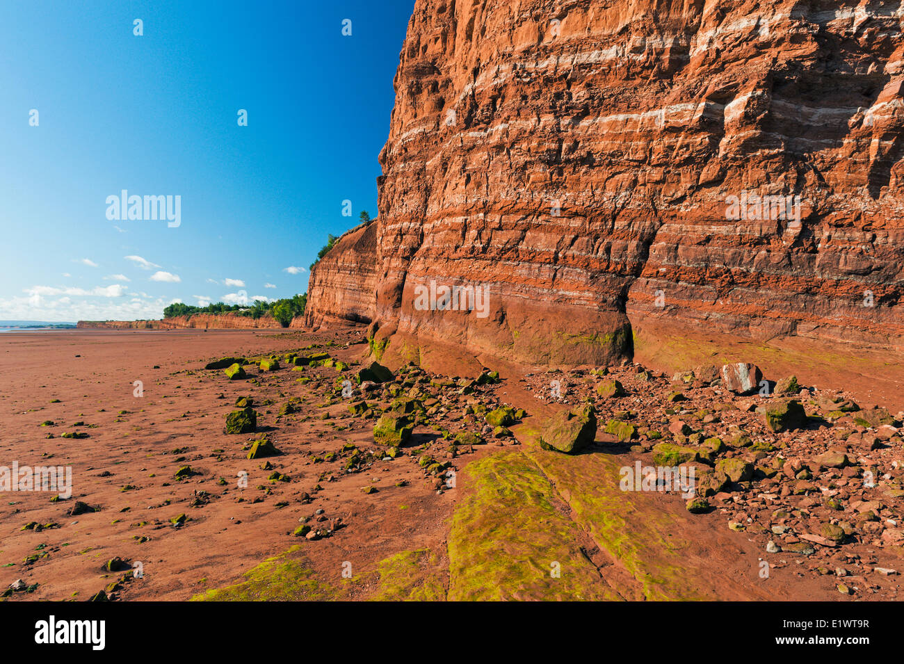 Triassico rocce sedimentarie a Blomidon Parco Provinciale faccia costante erosione dalla Baia di Fundy maree. Minas Basin, Nova Scotia. Foto Stock