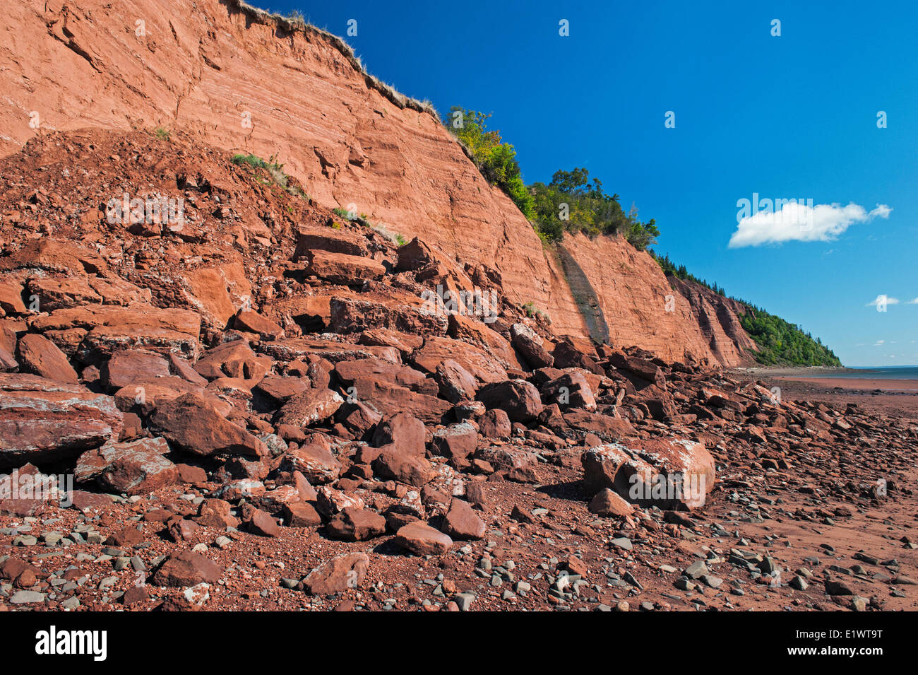 Triassico rocce sedimentarie a Blomidon Parco Provinciale faccia costante erosione dalla Baia di Fundy maree. Minas Basin, Nova Scotia. Foto Stock