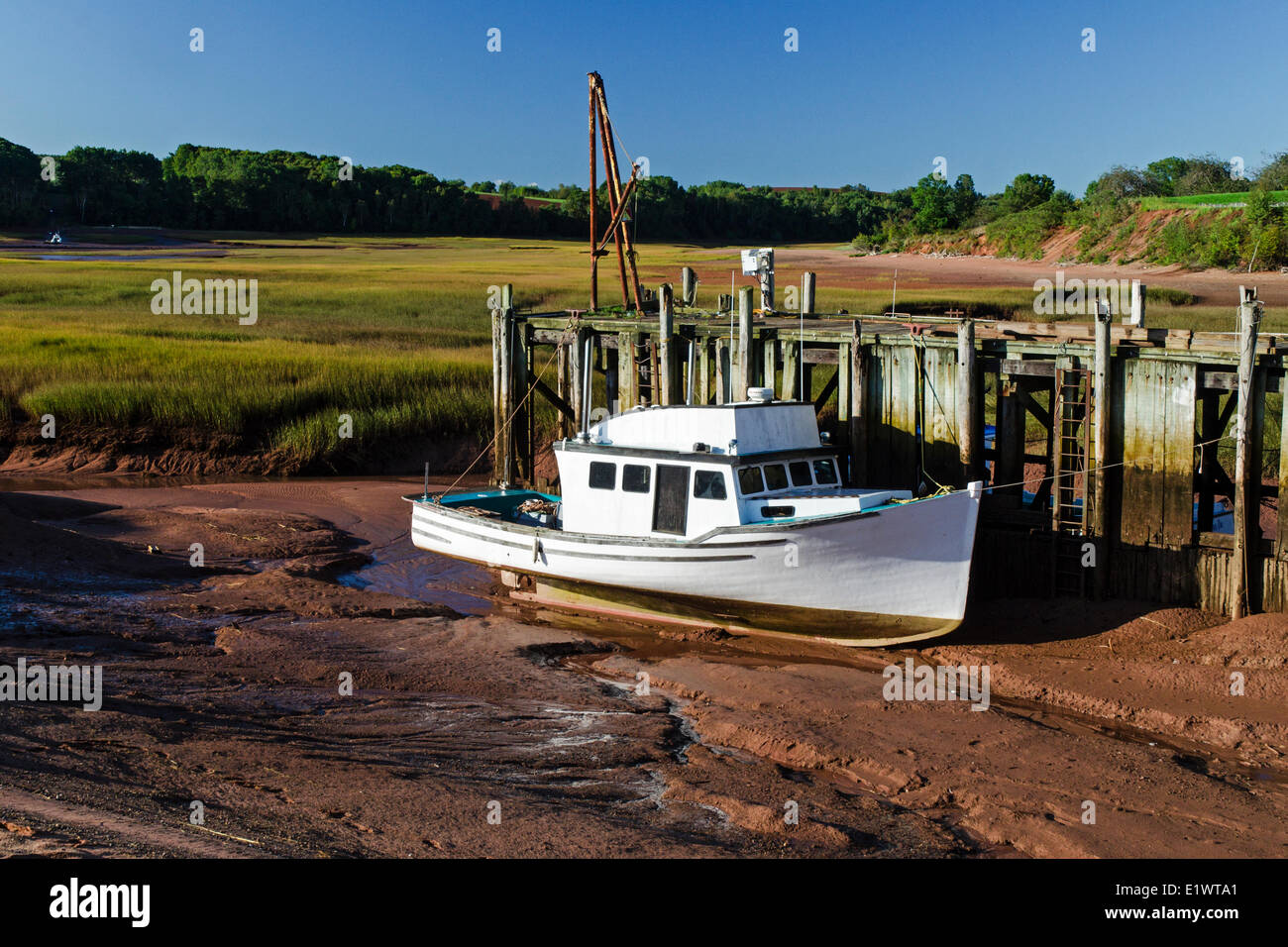 Barca da pesca bloccati sul fango appartamenti a bassa marea nel Minas bacino. Baia di Fundy. Delhaven, Nova Scotia. In Canada. Foto Stock