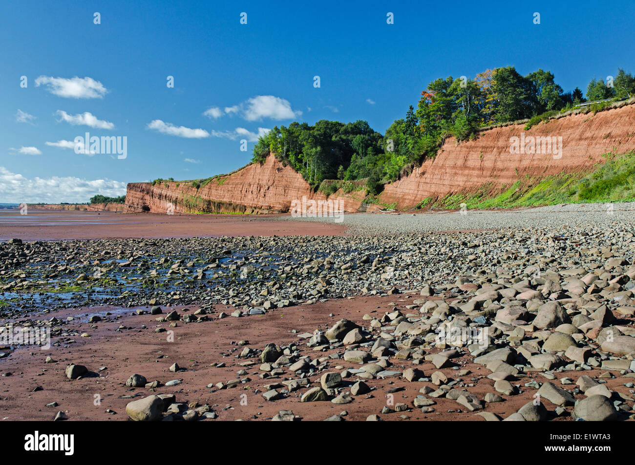 Triassico rocce sedimentarie a Blomidon Parco Provinciale faccia costante erosione dalla Baia di Fundy maree. Minas Basin, Nova Scotia. Foto Stock