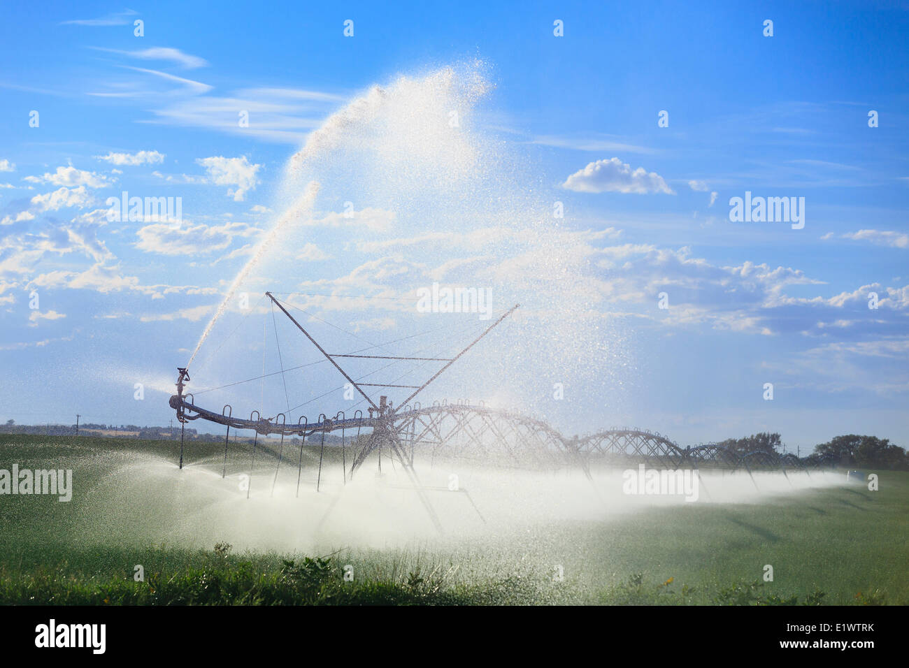 Il centro di rotazione l'acqua di irrigazione, vicino a Lethbridge, Alberta, Canada Foto Stock