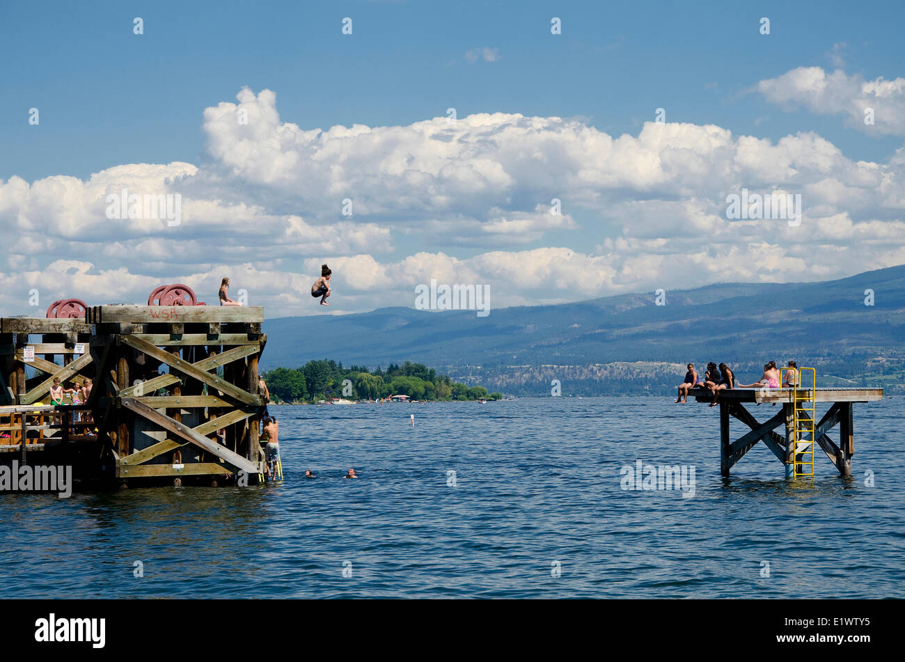 Nuoto, Gellatly Bay, West Kelowna, British Columbia, Canada. Foto Stock
