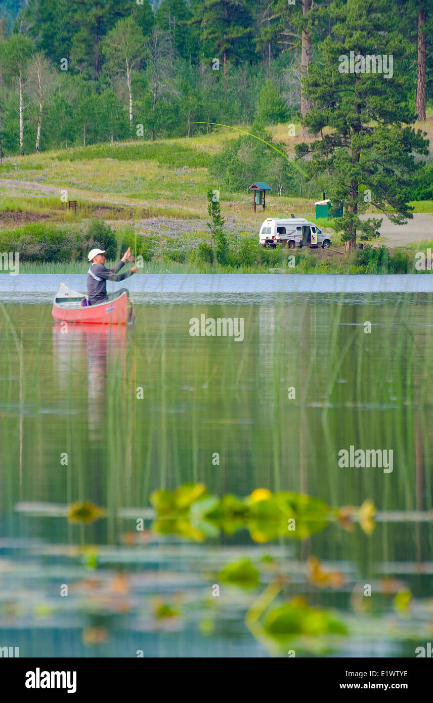 La pesca con la mosca Harmon Lago, Vicino Merritt, British Columbia, Canada. Foto Stock