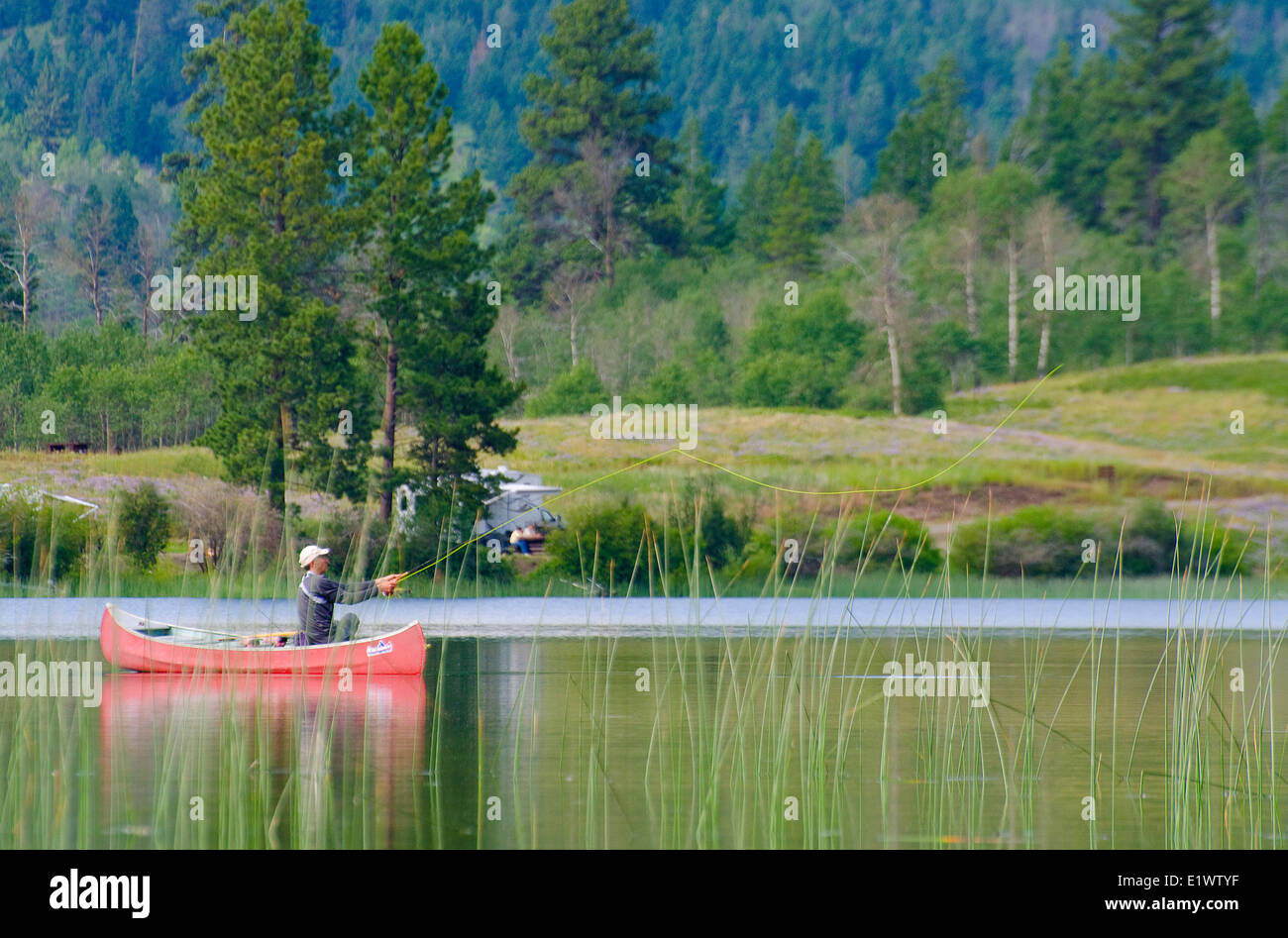 La pesca con la mosca Harmon Lago, Vicino Merritt, British Columbia, Canada. Foto Stock