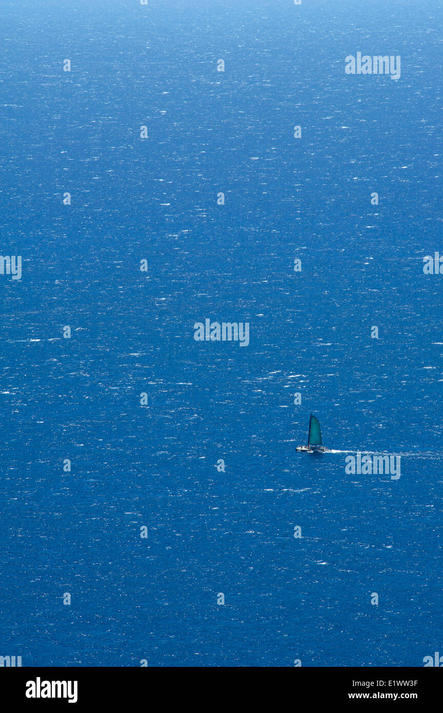 Barche a vela in una giornata di vento in Oahu, Hawaii, STATI UNITI D'AMERICA Foto Stock