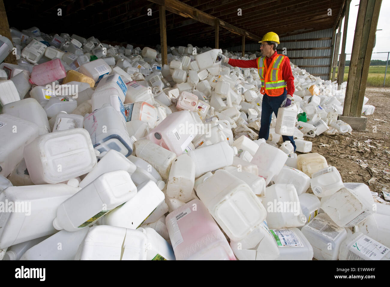 Lavoratore di contenitori di smistamento al riciclaggio di antiparassitari depot, Mountain View County, Alberta, Canada. Foto Stock