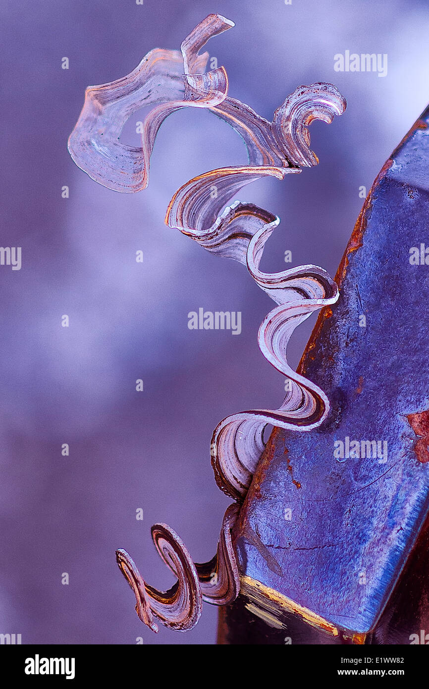 Un nastro naturale colorata Ice--uno dei miei collaboratori ribadito questo per me--il ghiaccio è cresciuto fuori il metallo Bumber un camion al lavoro Foto Stock