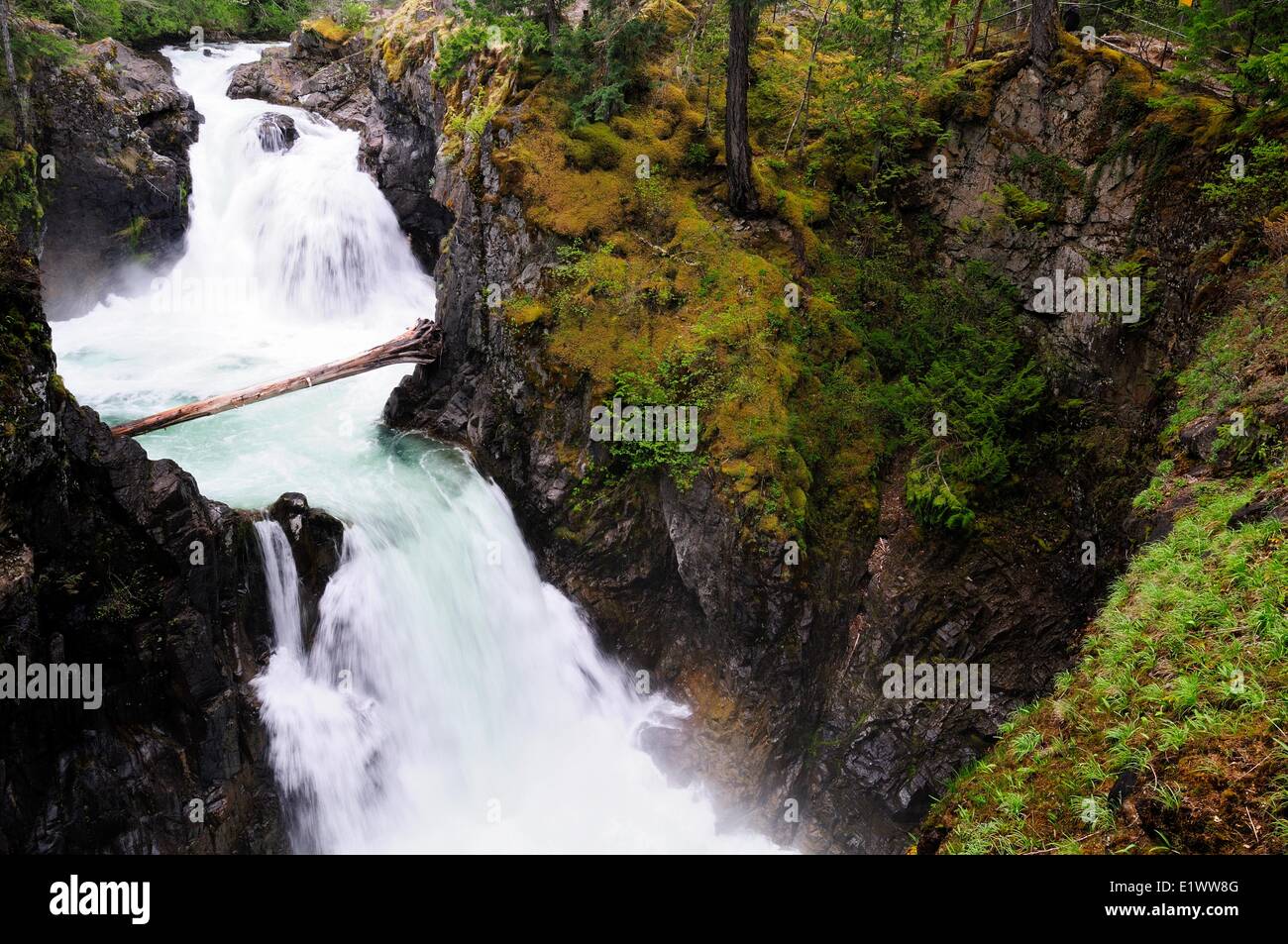 La parte superiore scende al Little Qualicum Falls in Little Qualicum Falls Parco Provinciale tra Parksville Port Alberni su Vancouver Foto Stock