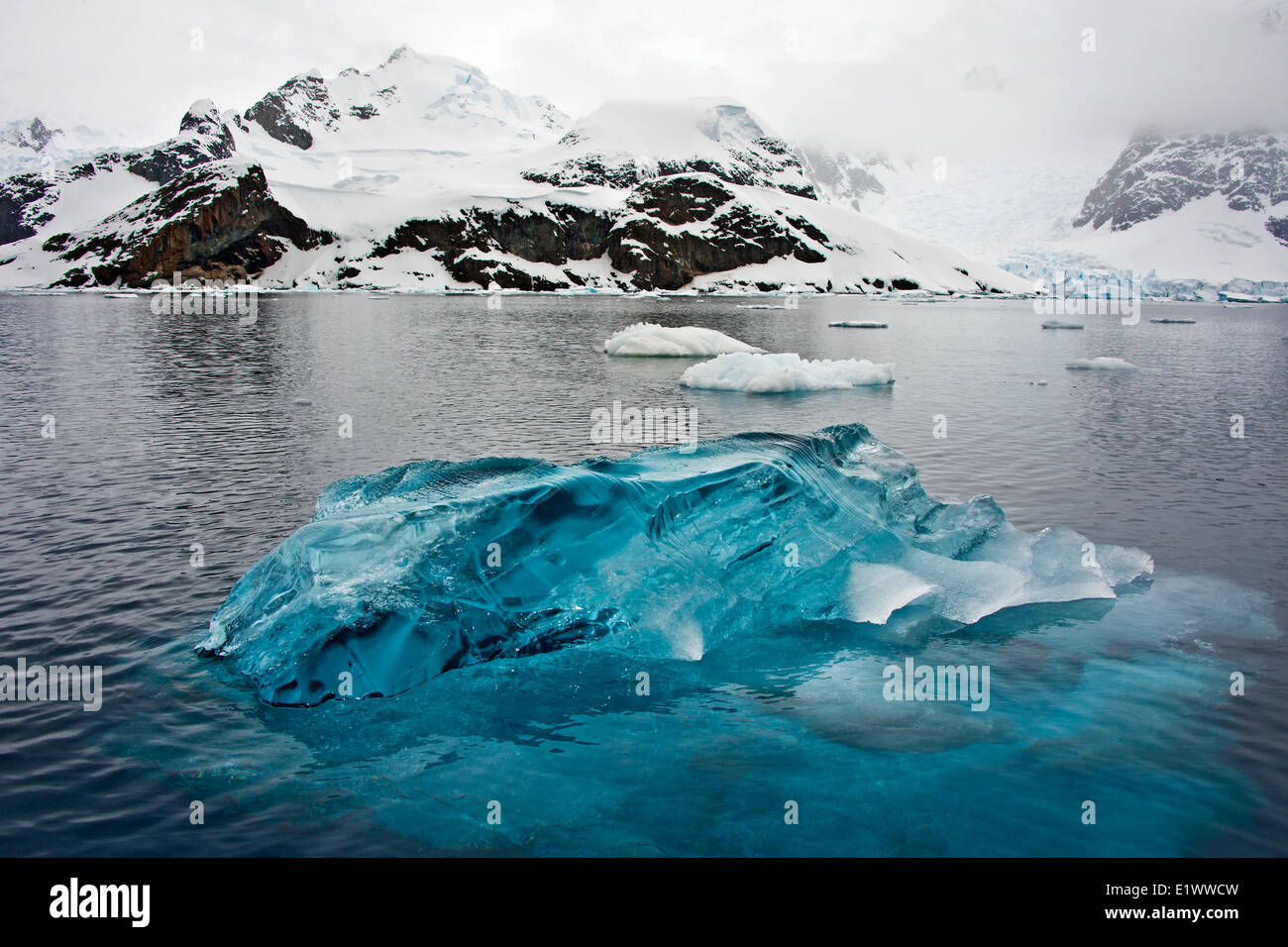 Paradise Bay, Penisola Antartica Foto Stock