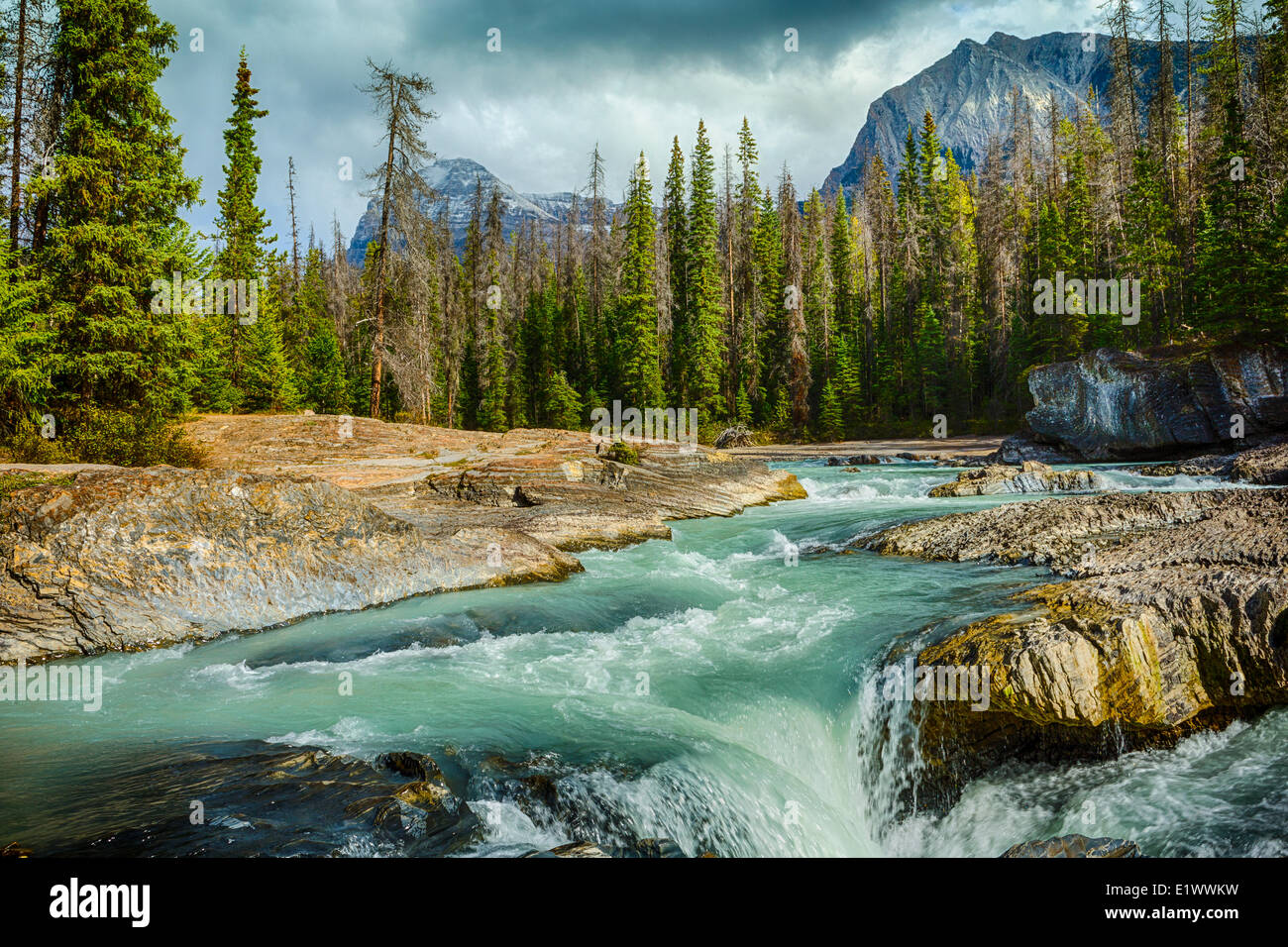 Il Ponte naturale, il Fiume Kicking Horse, Parco Nazionale di Yoho, British Columbia, Canada Foto Stock