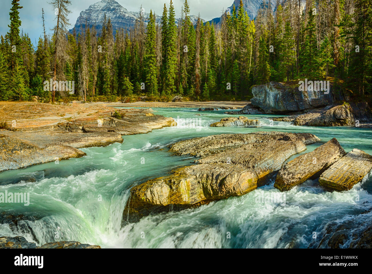 Il Ponte naturale, il Fiume Kicking Horse, Parco Nazionale di Yoho, British Columbia, Canada Foto Stock