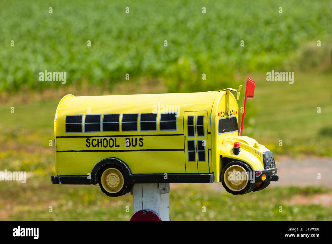 Cassetta postale Schoolbus, punto Prim, Prince Edward Island, Canada Foto Stock