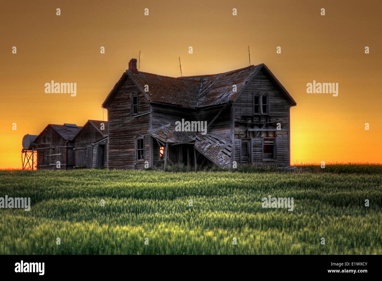 Gravelbourg, Saskatchewan, rurale Saskatchewan, rurale del decadimento, abbandonato farm house, Sud SK, campo di grano Foto Stock