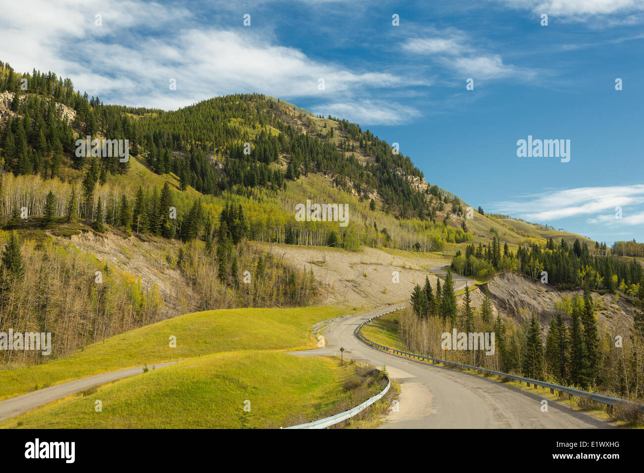 Autostrada, pecore fiume Parco Provinciale, Kananaskis County, Alberta, Canada Foto Stock