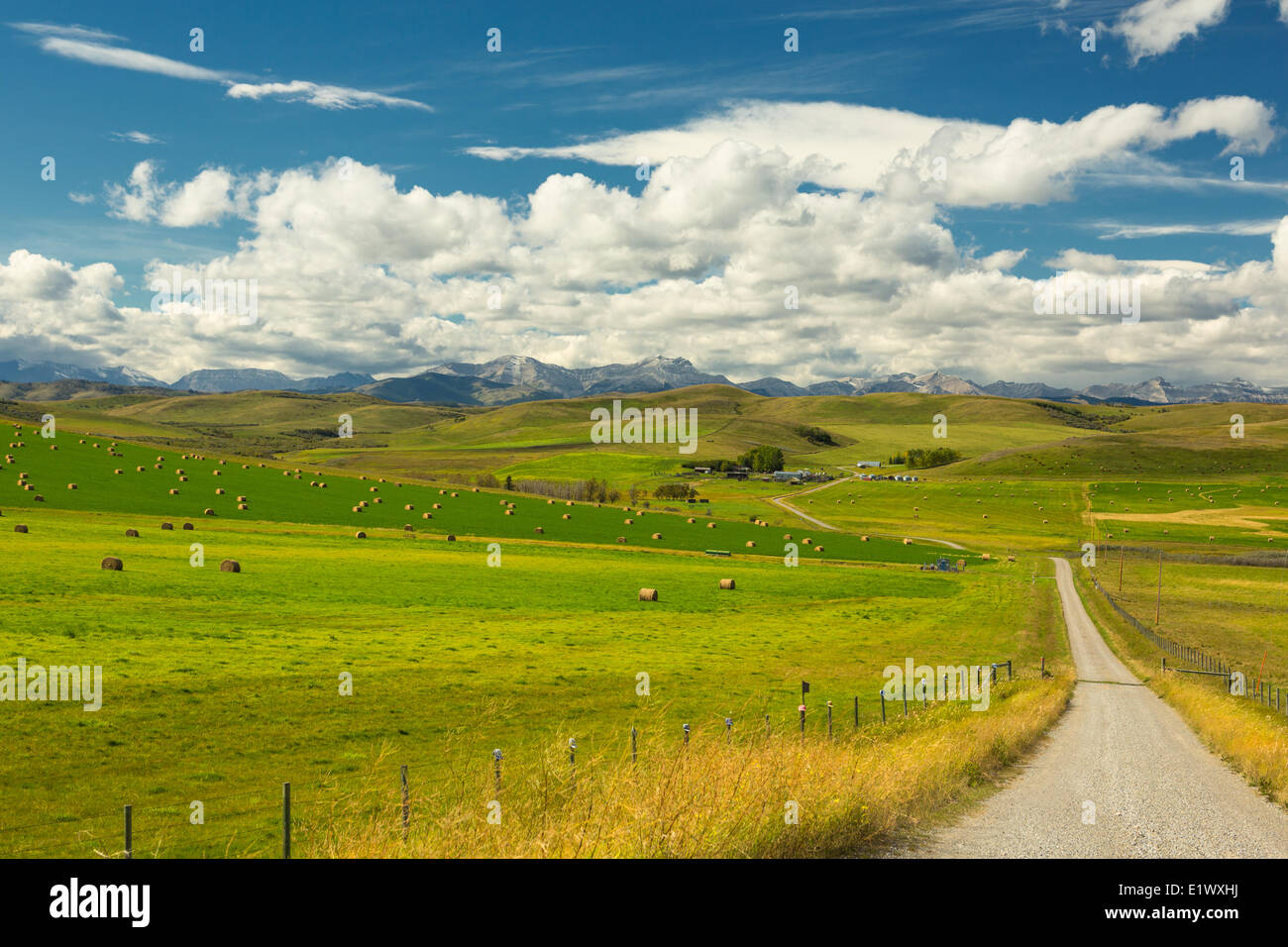 Prealpi, Longview, Alberta, Canada Foto Stock