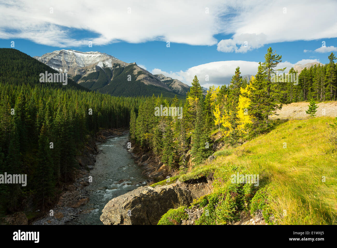 Picco Highwood, pecore fiume Parco Provinciale, Kananaskis, Alberta, Canada Foto Stock