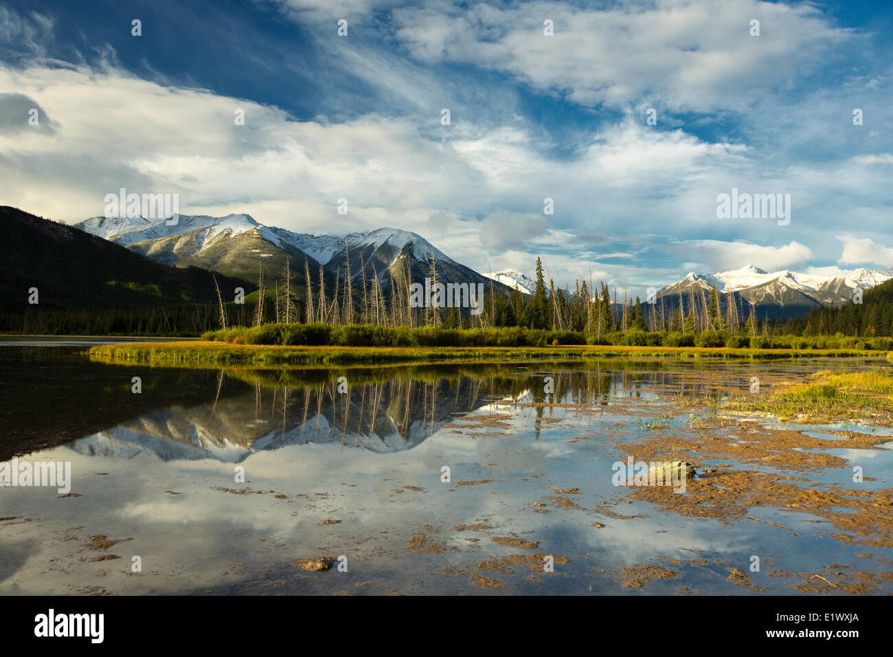 Le montagne si riflette nei laghi di Vermiglio, il Parco Nazionale di Banff, Alberta, Canada Foto Stock