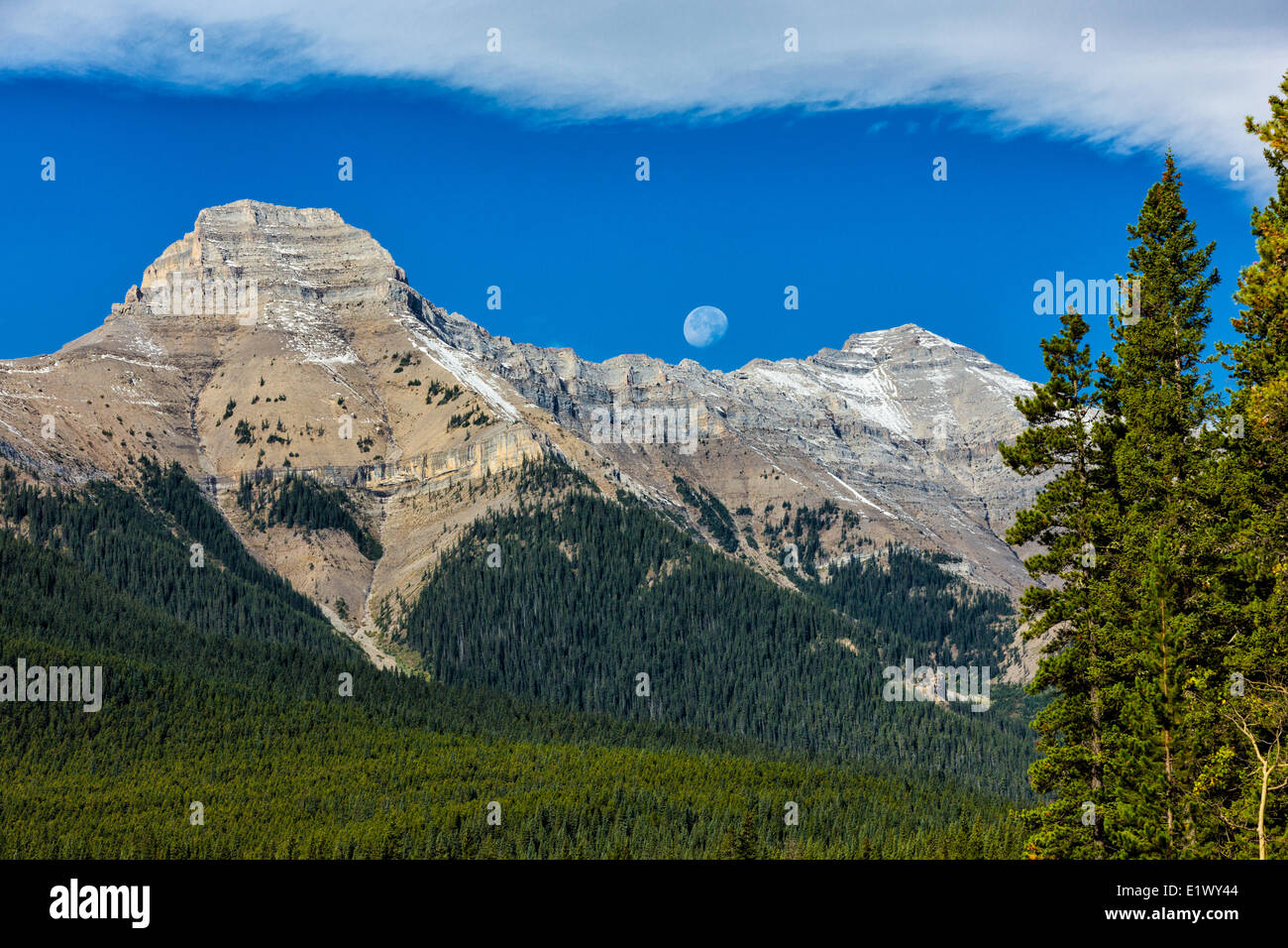 Montare Burns, pecore fiume Parco Provinciale, Kananaskis County, Alberta, Canada Foto Stock