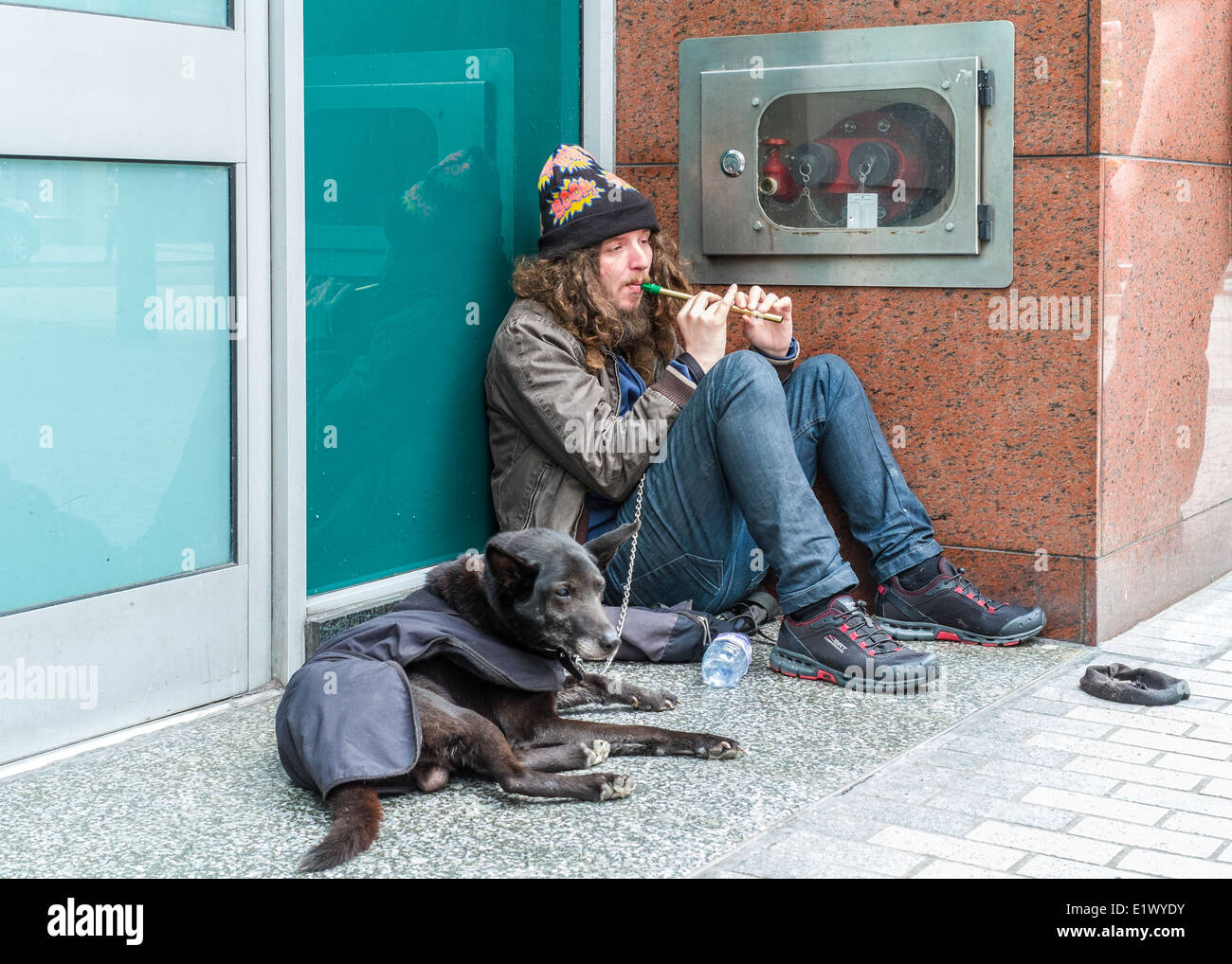 Suonatore ambulante di Belfast e il suo fedele cane Foto Stock