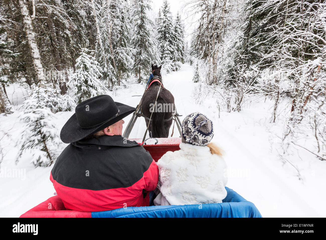 Canada, British Columbia, Cariboo Chilcotin regione, Sleigh Ride, Natale Sleigh Ride, inverno inverno Sleigh Ride, Foto Stock