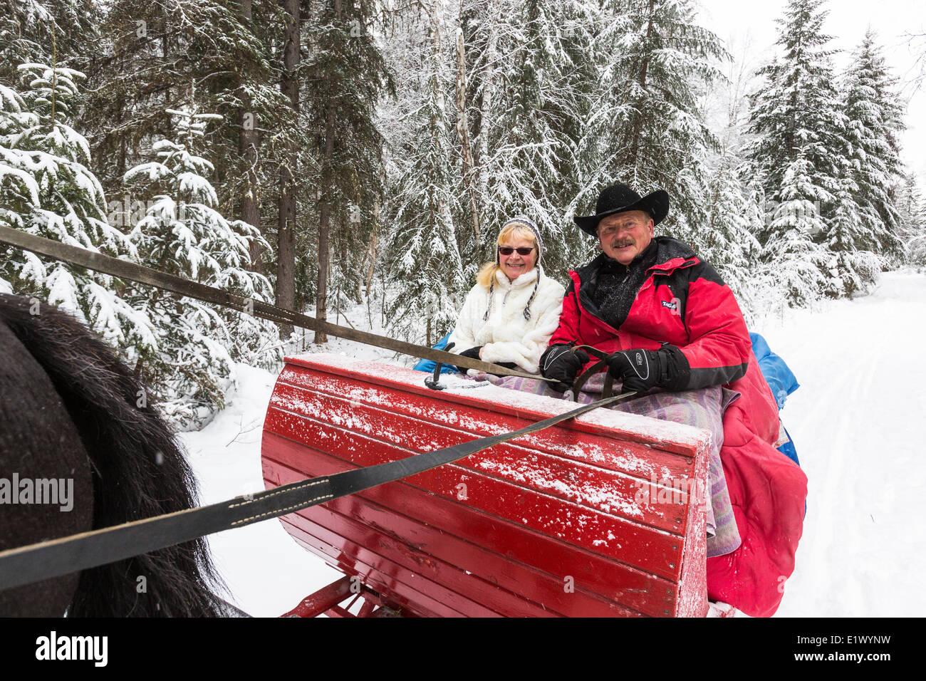 Canada, British Columbia, Cariboo Chilcotin regione, Sleigh Ride, Natale Sleigh Ride, inverno inverno Sleigh Ride, Foto Stock