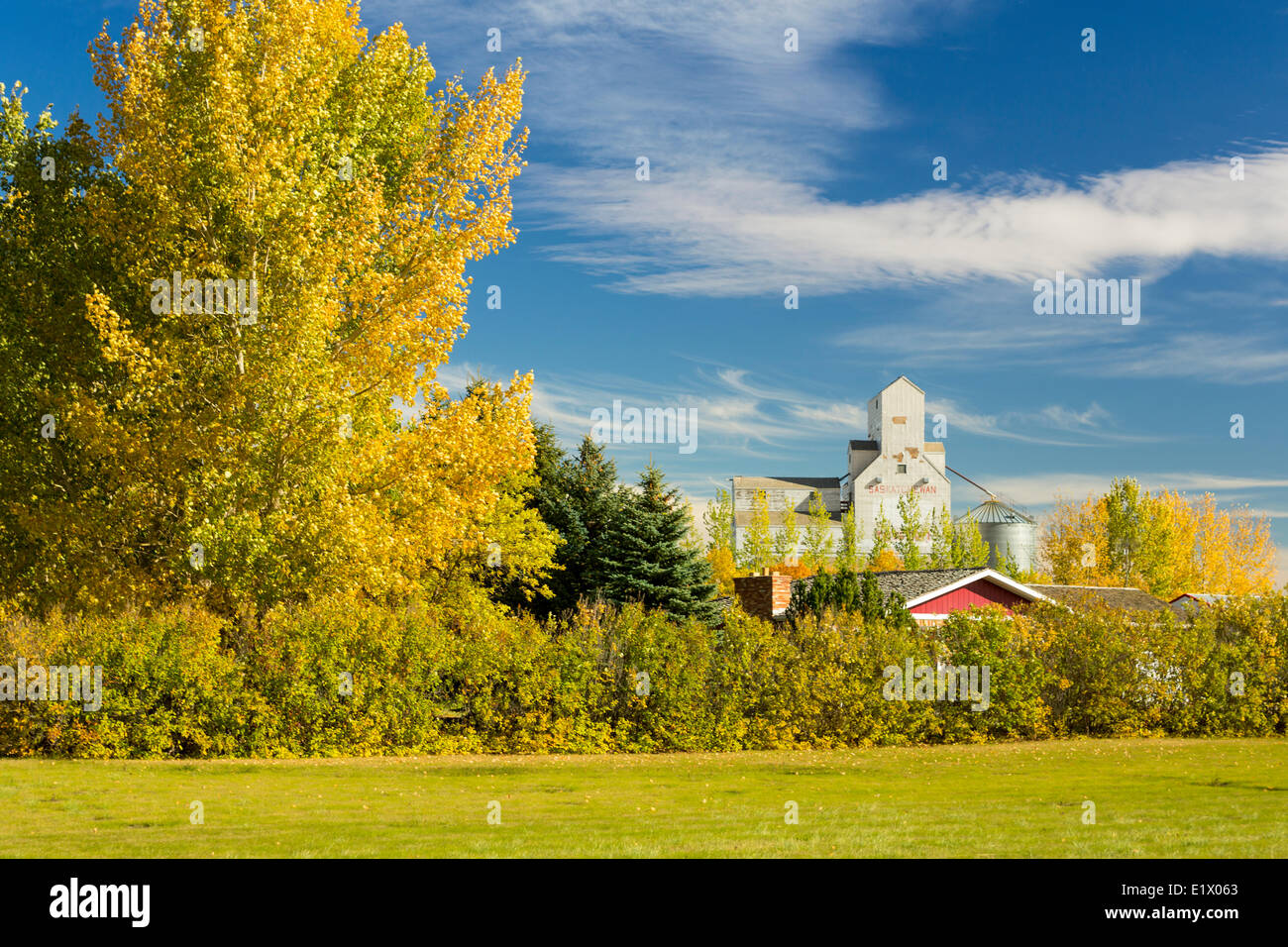 Elevatori delle granaglie, Tuxford, Saskatchewan, Canada Foto Stock